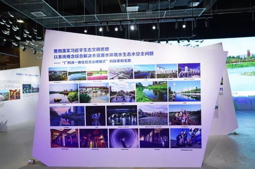 清水綠岸，魚翔淺底 北排尚水文化公司以藝術創意展臺亮相南寧園博園，擘畫城市發展新圖景