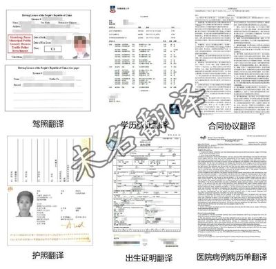 智能設(shè)備在倉(cāng)儲(chǔ)運(yùn)輸翻譯服務(wù)中的應(yīng)用與前景